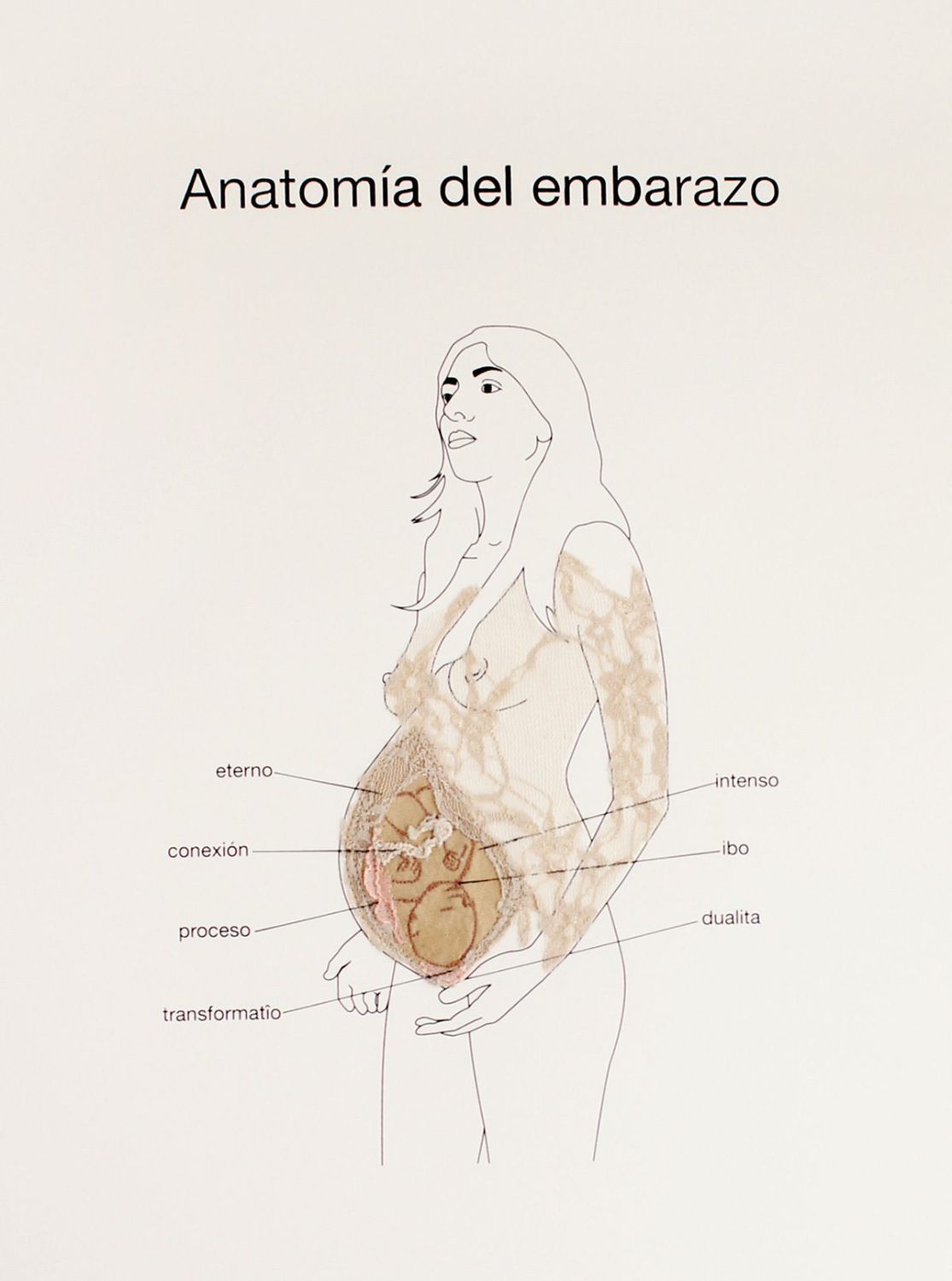 Anatomía del embarazo: figura de mujer embarazada dibujada a línea y bordada con encaje, con palabras señaladas por líneas