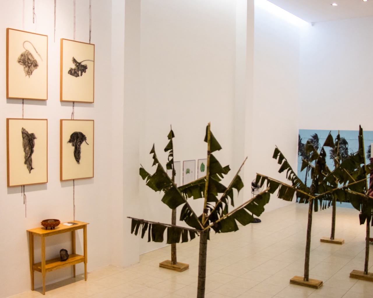 Sala con cuatro dibujos al carbón enmarcados y, en el centro, las palmeras de madera y hoja de banano.