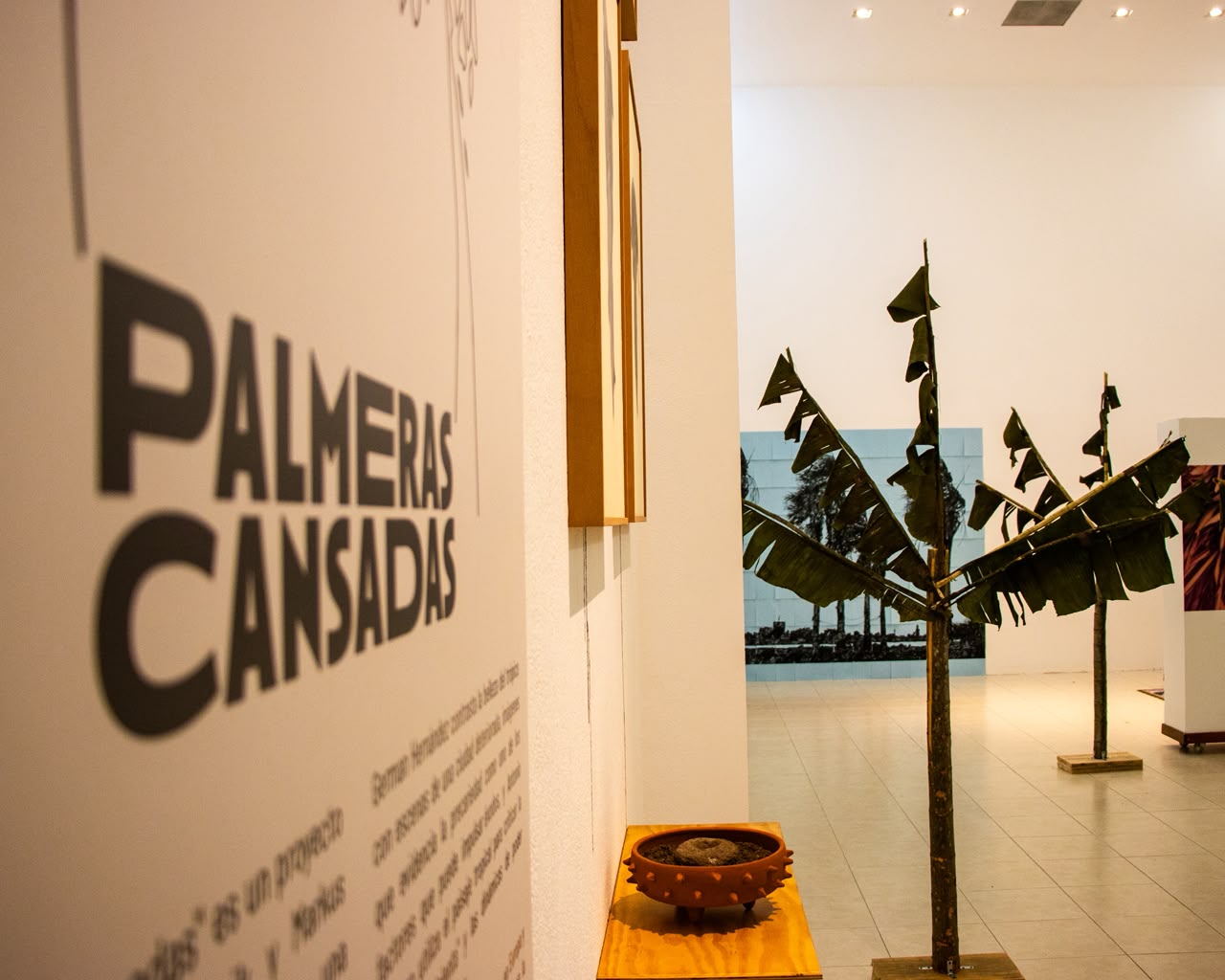 Vista general del Salón Toño Salazar del Museo de Arte de El Salvador durante la exposición Palmeras Cansadas.